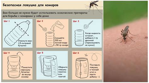 Средства от комаров на даче по периметру. Обработка участка от комаров