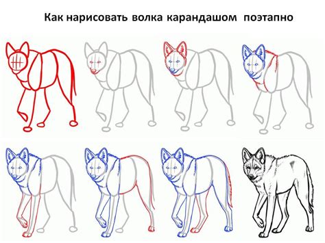 Рисовать рисунки поэтапно