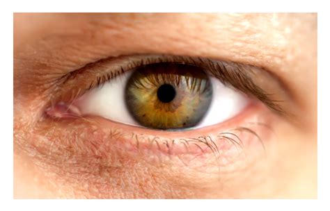 eye health  nutrition professional supplement center