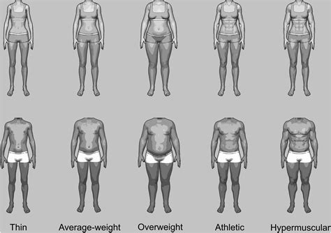Frontiers | Gender Differences in Body Evaluation: Do Men Show More