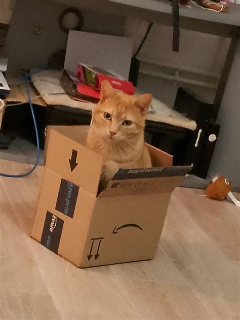 It fits : r/IfIFitsISits