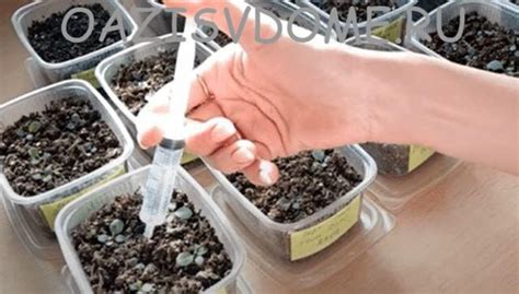 Кальциевая селитра для корневой и внекорневой подкормки рассады