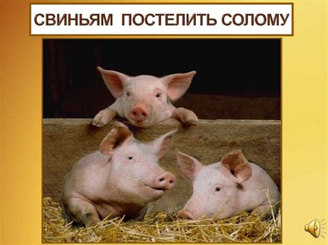 Уход за домашними животными - презентация онлайн