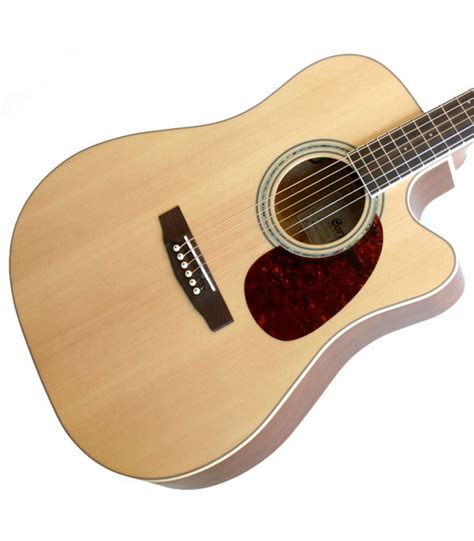 Guitar With Fishman Pickups