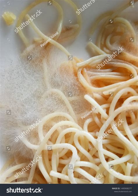 Mold On Spaghetti Moldy Food Stock Photo 1490908277 | Shutterstock