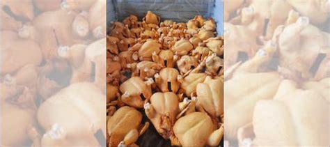 Куры бройлеры тушки мясо купить в Ставрополе | Товары для дома и дачи ...
