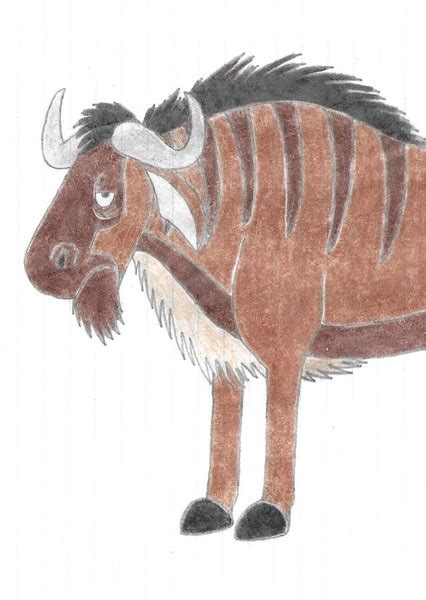 Wildebeest Fan Casting
