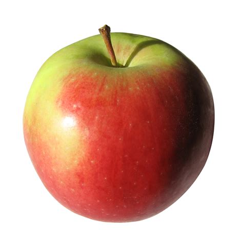 Apple | Free Images at Clker.com - vector clip art online, royalty free ...