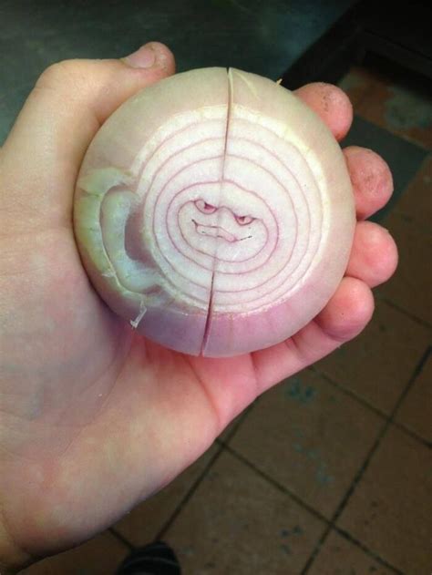 29 Funny Instances Of ‘Random Pareidolia’ To Trick Your Brain Into ...