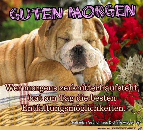 27 best Guten Morgen images on Pinterest | Good morning, Funny sayings ...