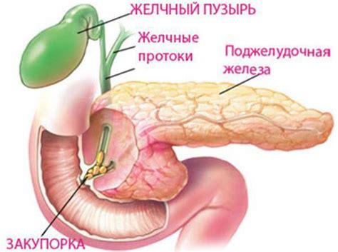 Застой желчи у ребенка: что это такое, симптомы и причины, лечение ...