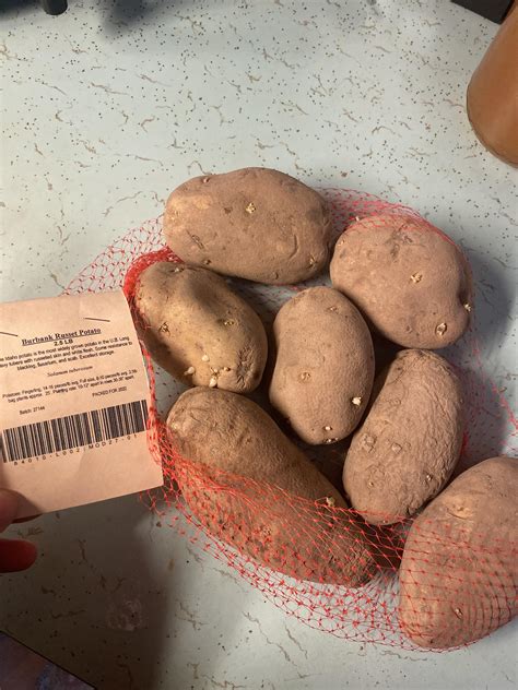 Bought seeding potatoes but they don’t seem ready yet… how can I