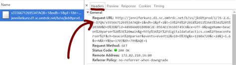 parsing python extract requests query parameters    url