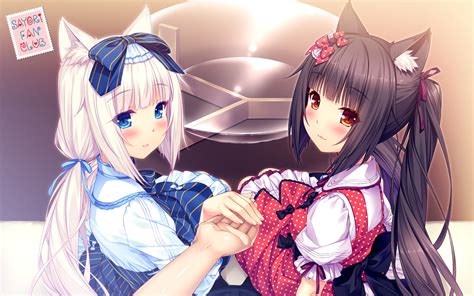 Nekopara Wallpapers (85+ images)