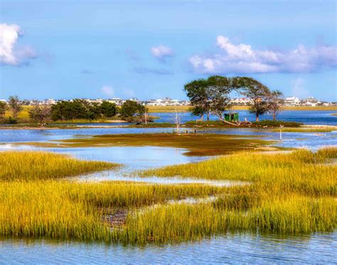 The 13 Best Beaches in South Carolina
