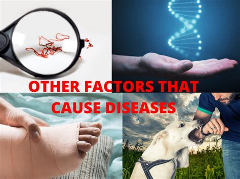 factors   diseases alex hui