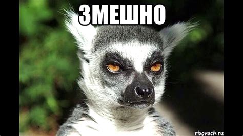 Я Збагоен!!! И ты Узбагойся послушай мою песню! И мы вместе узбагоемся ...
