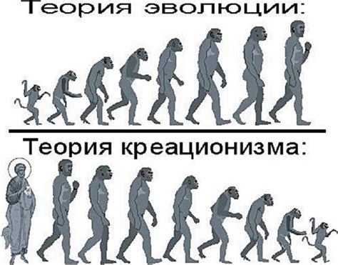 какой национальности были Адам и Ева