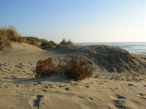 Oasi Naturista di Capocotta Beach - 2025 Guide (with Photos) | Best