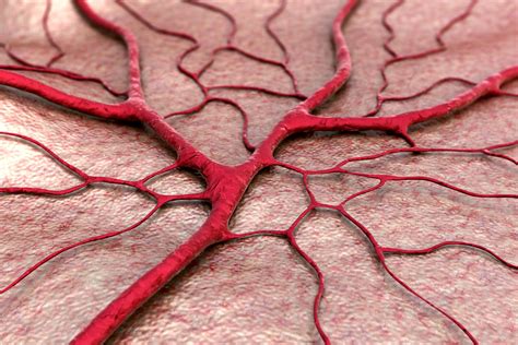 Melt electrowriting takes us closer to artificial blood vessels