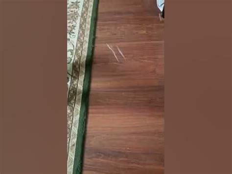 самной ваюет сатана - YouTube