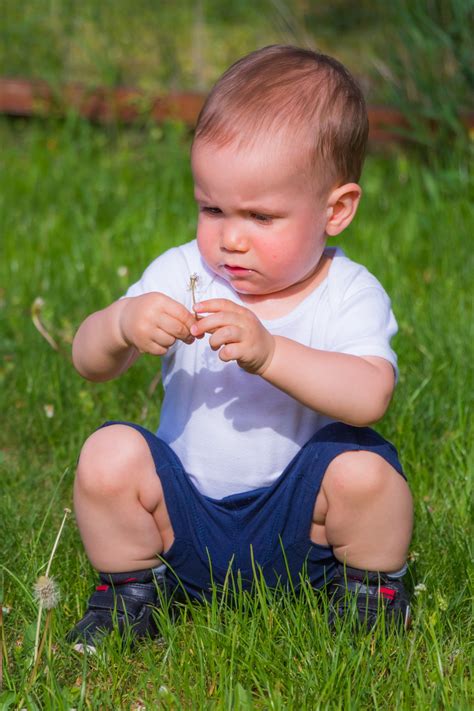 images grass person people girl lawn meadow play cute