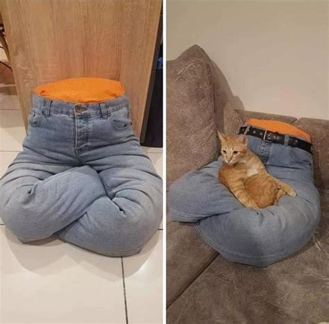 Колыбелька для кошки. Как сделать домик для вашего кота - Chirkun.ru ...