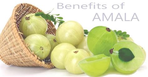 12 Benefits of Amla You Didn't Know About! - Sarvyoga | Yoga