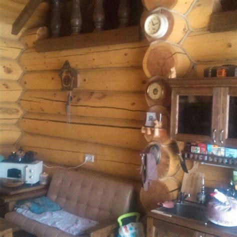 СИБИРСКИЙ ПЛОТНИК