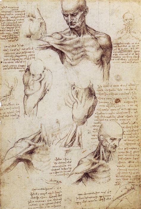 56 dessins de Leonard De Vinci – La boite verte