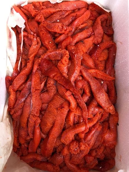 Новый Привоз Охл Ястык Форели Сделай икру сам Натуральный продукт Икра ...