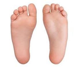 education sessions healthy soles