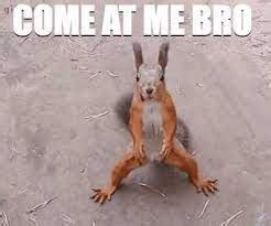 Squirreled Away