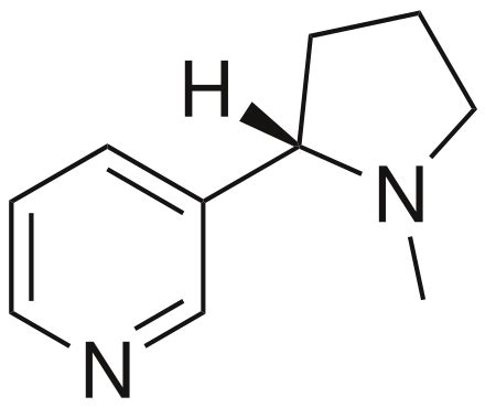 nicotine - Wiktionary, the free dictionary