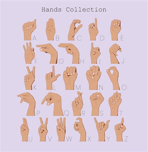 Premium Vector | Asl vector art hands collection