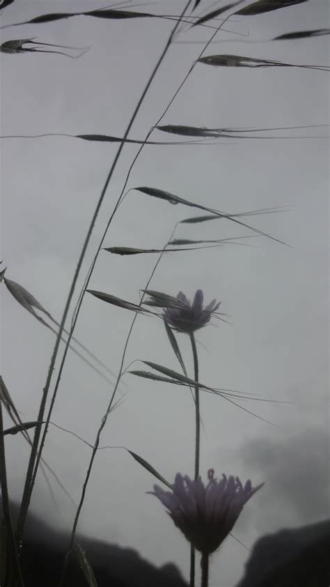 Images from Crete, Greece – art-orbit