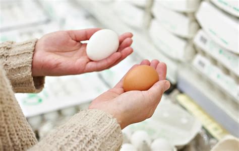Купить продукты в Украине: супермаркеты повысили цены на яйца, колбасу ...