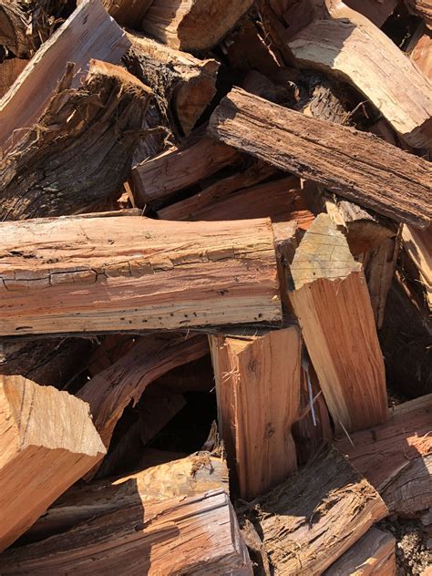 Can Cedar Be Used for Firewood: Pros and Cons Explained
