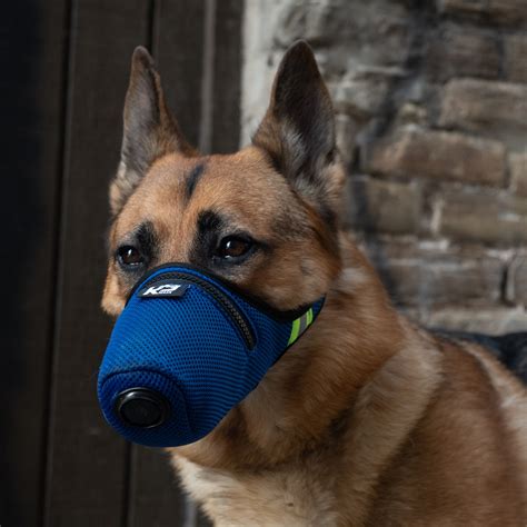 K9 Mask® Air Filter Mask for Dogs // Large - K9 Mask - Touch of Modern