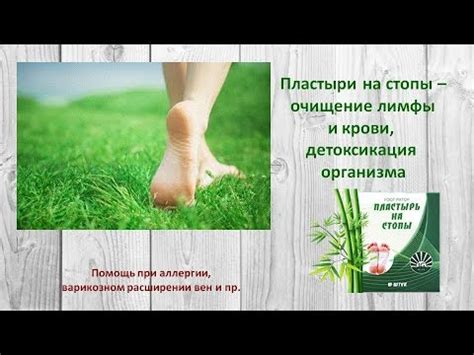 Пластыри на стопы - очищение лимфы и крови, детоксикация организма ...