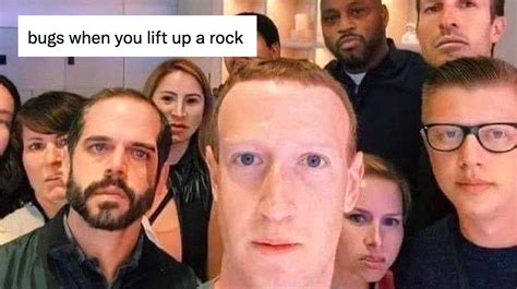Bugs When You Lift Up A Rock | Know Your Meme