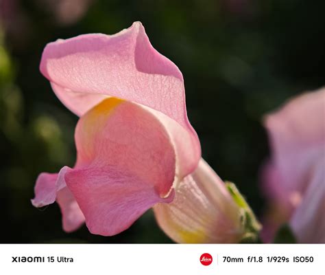 Xiaomi 15 Ultra Review: the new Leica Flagship Smartphone
