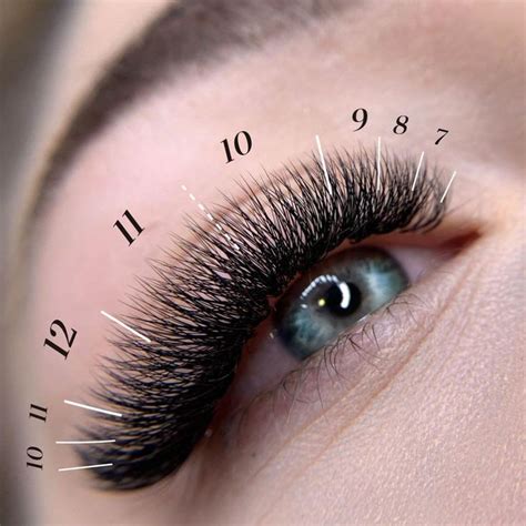Lash Map | Eyelash extensions, Eyelashes, Lashes