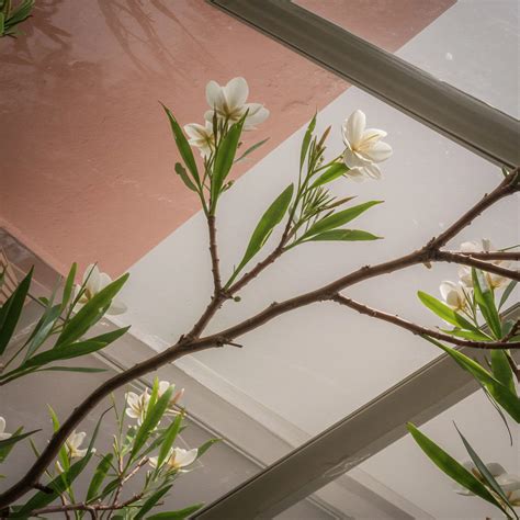 Moster mortuary provides essential support for the community 2