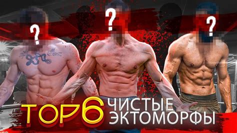ТОП 6 | Фитнес-Блогеры Чистые Эктоморфы! (Характеристики Эктоморфа ...