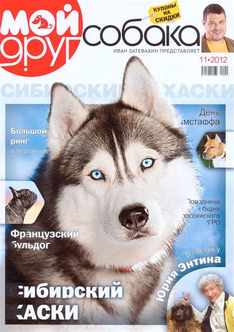 Журнал про собак (70 фото) - картинки sobakovod.club