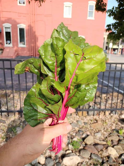 Episode 134 - Veggie Spotlight - Swiss Chard - Eat Like No One Else