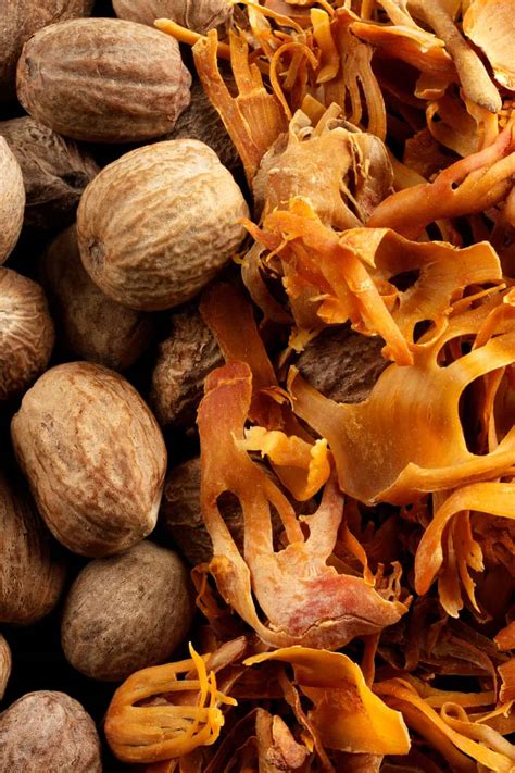 is mace legal in michigan 1