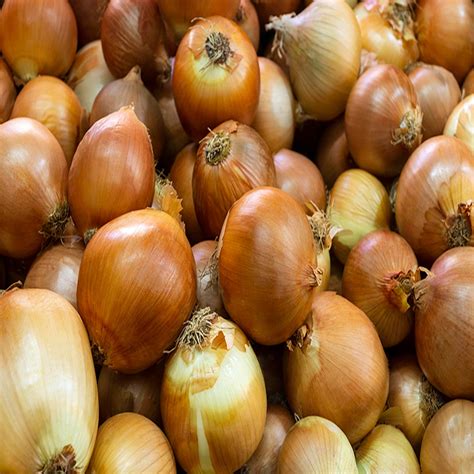 Onion Business Layers in the International B2B Platform of Abrisham Road 🌐