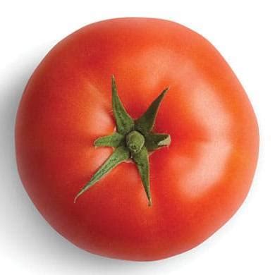 Томат Тореро F1 (De Ruiter Seeds) - купить семена из Голландии оптом ...